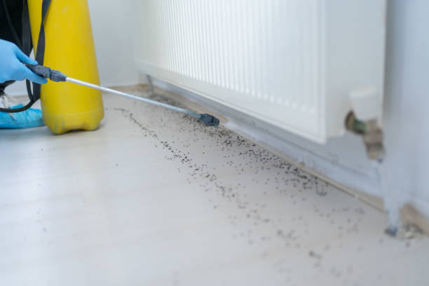 Best Residential Pest Control  in Evansdale, IA
